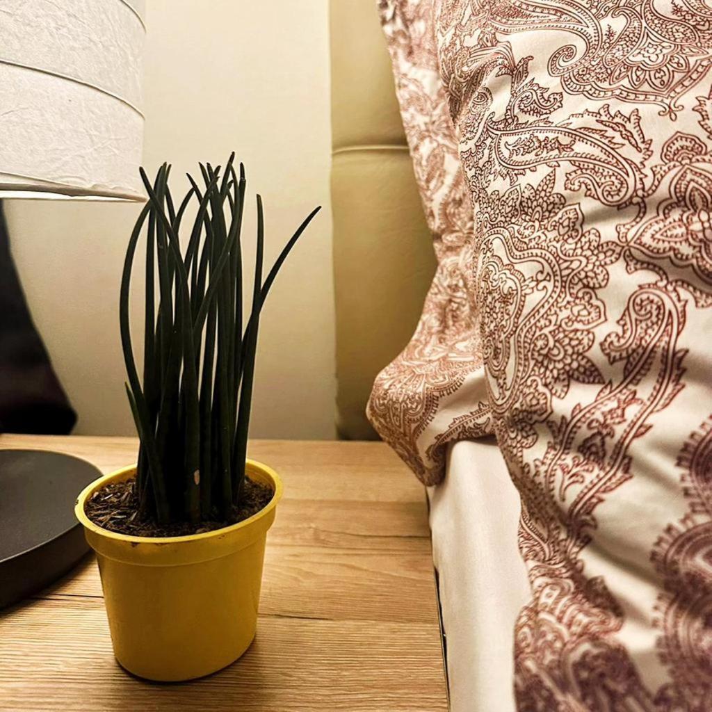 Acqua Private Residence Livingstone Tower Condo Unit With Free Wifi Manila Ngoại thất bức ảnh